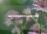 最好的网络棋牌平台探索与选择