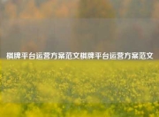 棋牌平台运营方案范文棋牌平台运营方案范文