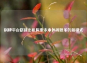 棋牌平台搭建出租探索未来休闲娱乐的新模式