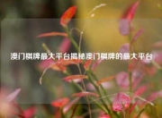 澳门棋牌最大平台揭秘澳门棋牌的最大平台