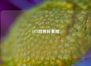 1974世界杯赛程