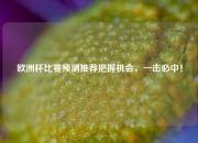 欧洲杯比赛预测推荐把握机会，一击必中！