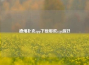 德州扑克app下载那款app最好