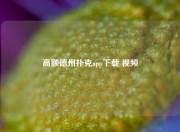 高额德州扑克app下载 视频