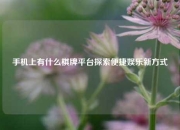 手机上有什么棋牌平台探索便捷娱乐新方式