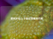 德州扑克app下载运营策划方案