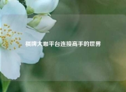 棋牌大咖平台连接高手的世界