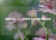 棋牌平台bs18 me探索多元化的娱乐新选择