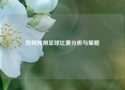 如何预测足球比赛分析与策略