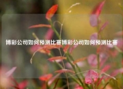 博彩公司如何预测比赛博彩公司如何预测比赛