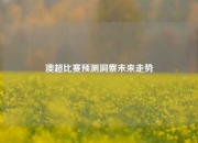 澳超比赛预测洞察未来走势