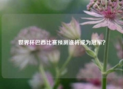 世界杯巴西比赛预测谁将成为冠军？
