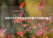 亚冠今天比赛预测亚冠联赛今天比赛预测