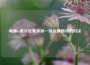 梅斯vs里尔比赛预测一场充满期待的对决