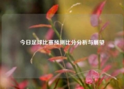 今日足球比赛预测比分分析与展望
