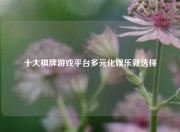 十大棋牌游戏平台多元化娱乐新选择