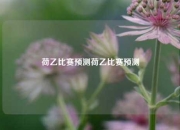 荷乙比赛预测荷乙比赛预测