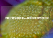 足球比赛预测最准app掌握未来趋势的关键