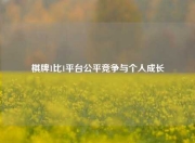 棋牌1比1平台公平竞争与个人成长