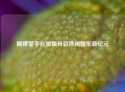 棋牌室平台加盟开启休闲娱乐新纪元