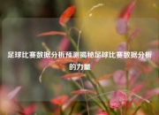 足球比赛数据分析预测揭秘足球比赛数据分析的力量