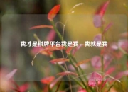 我才是棋牌平台我是我，我就是我