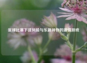 足球比赛下注风险与乐趣并存的激情游戏