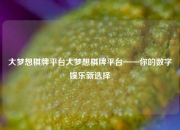 大梦想棋牌平台大梦想棋牌平台——你的数字娱乐新选择
