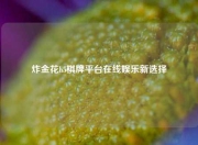 炸金花h5棋牌平台在线娱乐新选择