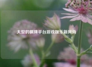 大型的棋牌平台游戏娱乐新风尚