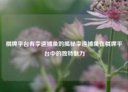 棋牌平台有李逵捕鱼的揭秘李逵捕鱼在棋牌平台中的独特魅力