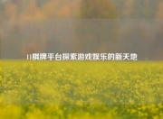 11棋牌平台探索游戏娱乐的新天地