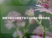 棋牌下载平台棋牌下载平台的崛起与未来展望