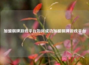 加盟棋牌游戏平台如何成功加盟棋牌游戏平台