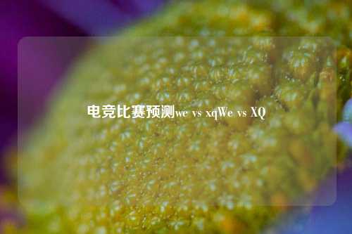 电竞比赛预测we vs xqWe vs XQ