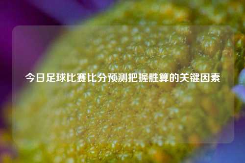 今日足球比赛比分预测把握胜算的关键因素