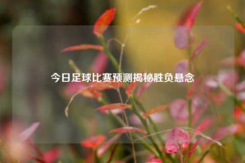 今日足球比赛预测揭秘胜负悬念