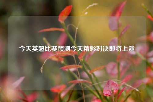 今天英超比赛预测今天精彩对决即将上演