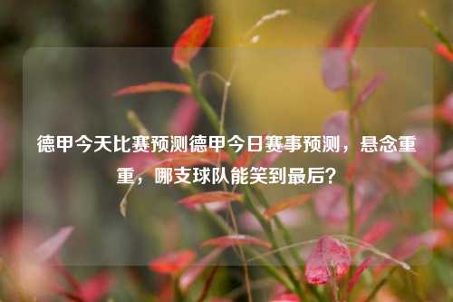 德甲今天比赛预测德甲今日赛事预测，悬念重重，哪支球队能笑到最后？