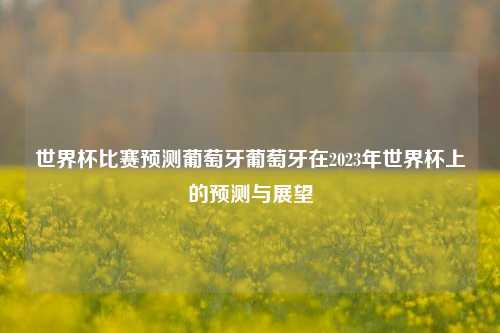 世界杯比赛预测葡萄牙葡萄牙在2023年世界杯上的预测与展望