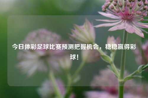 今日体彩足球比赛预测把握机会，稳稳赢得彩球！