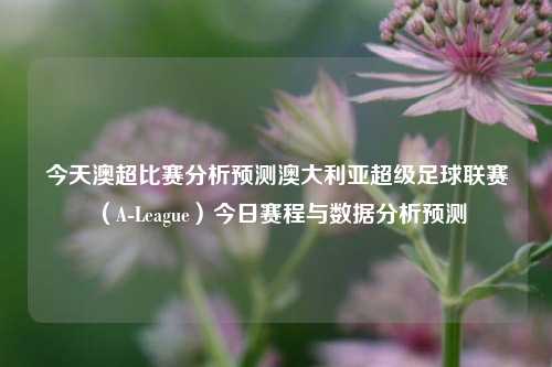 今天澳超比赛分析预测澳大利亚超级足球联赛（A-League）今日赛程与数据分析预测