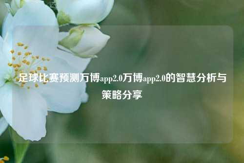 足球比赛预测万博app2.0万博app2.0的智慧分析与策略分享