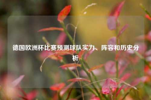 德国欧洲杯比赛预测球队实力、阵容和历史分析