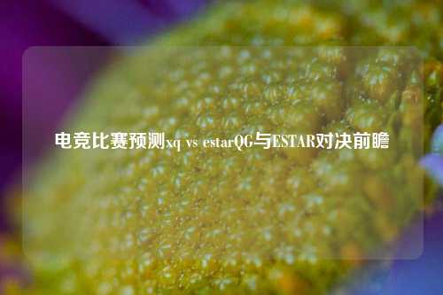 电竞比赛预测xq vs estarQG与ESTAR对决前瞻