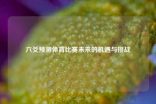 六爻预测体育比赛未来的机遇与挑战