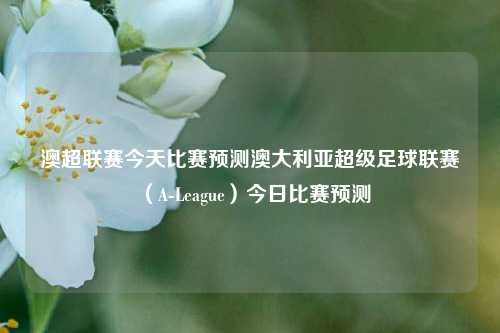澳超联赛今天比赛预测澳大利亚超级足球联赛（A-League）今日比赛预测
