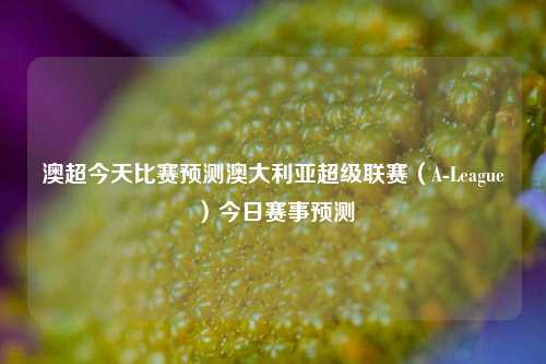 澳超今天比赛预测澳大利亚超级联赛（A-League）今日赛事预测