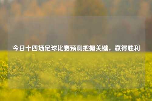 今日十四场足球比赛预测把握关键，赢得胜利