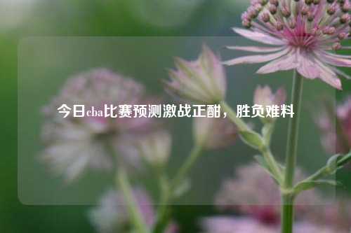 今日cba比赛预测激战正酣，胜负难料